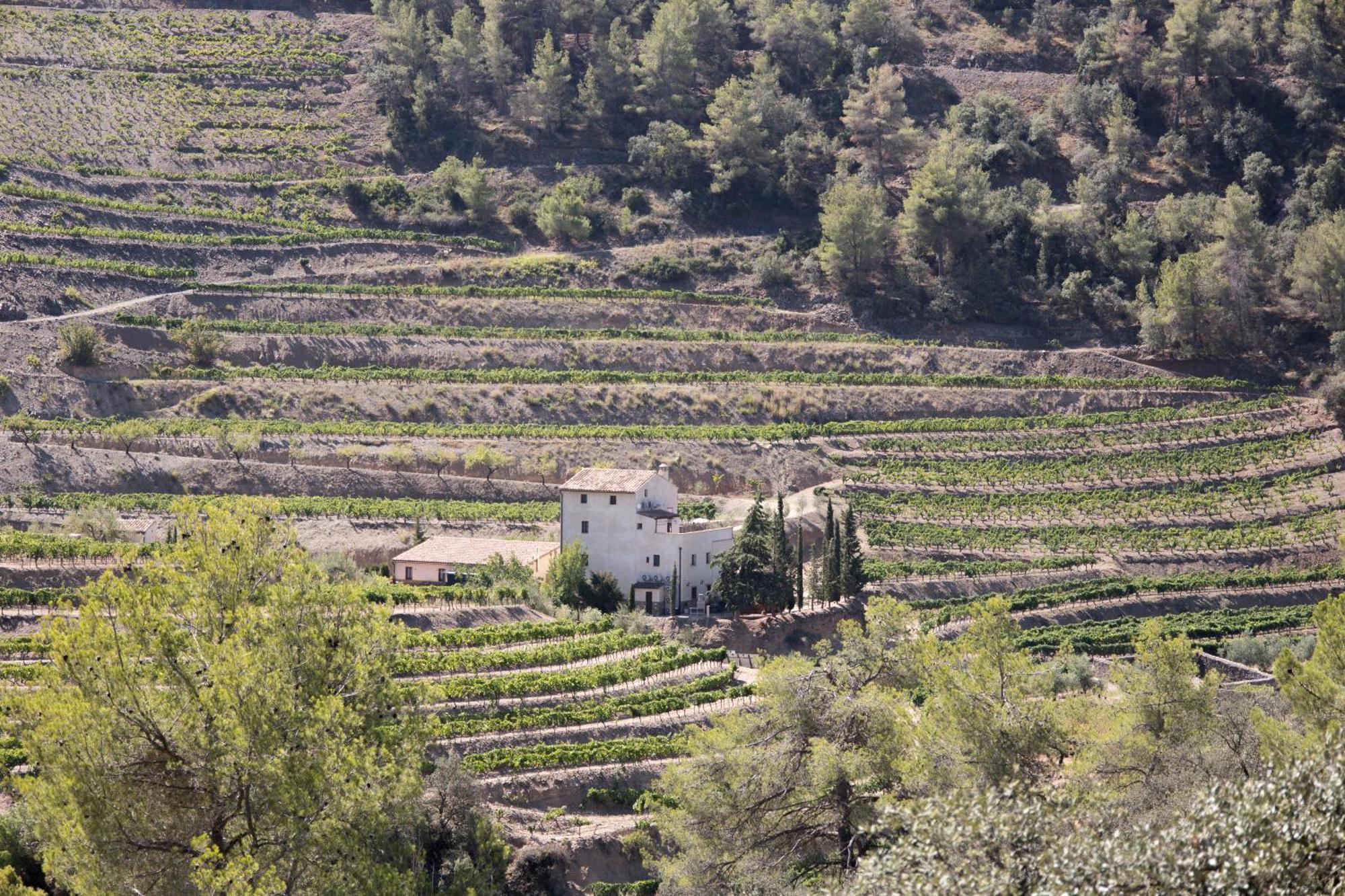 Mas Alsera. Masoveria D'Agroturisme Torroja Exterior photo